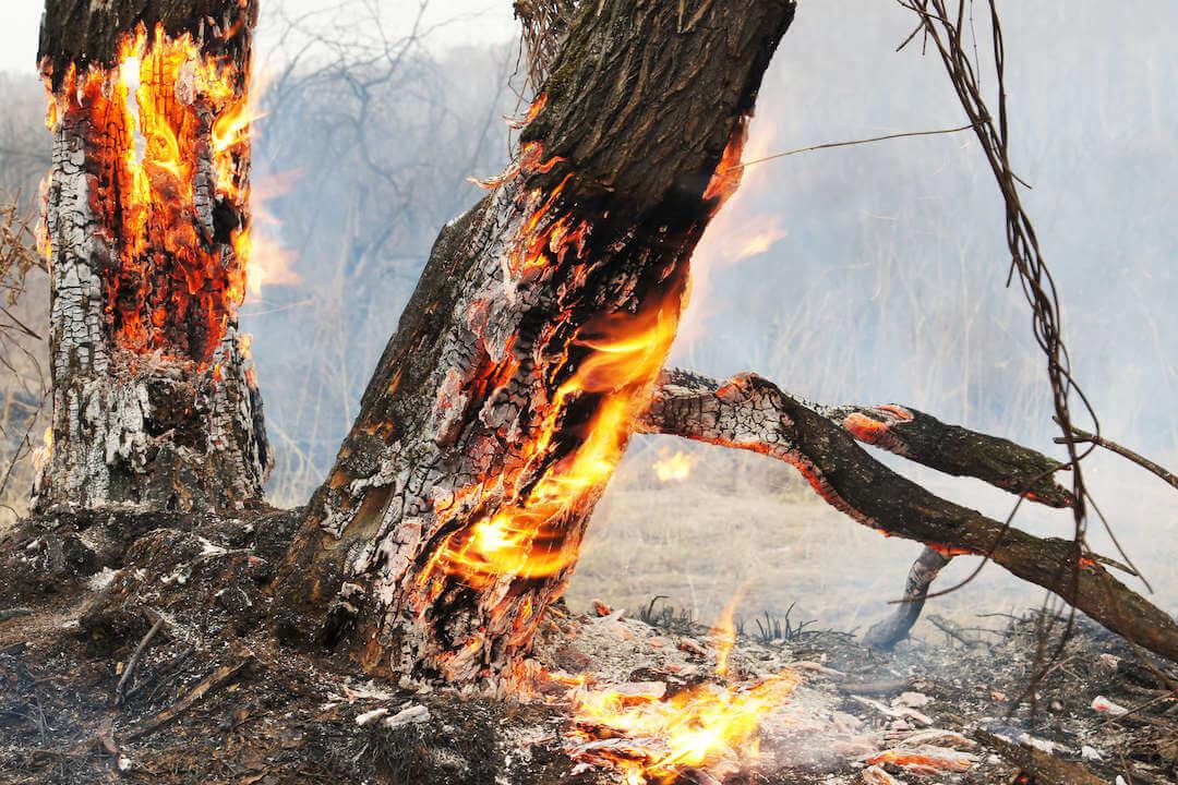 environmental insurance uk