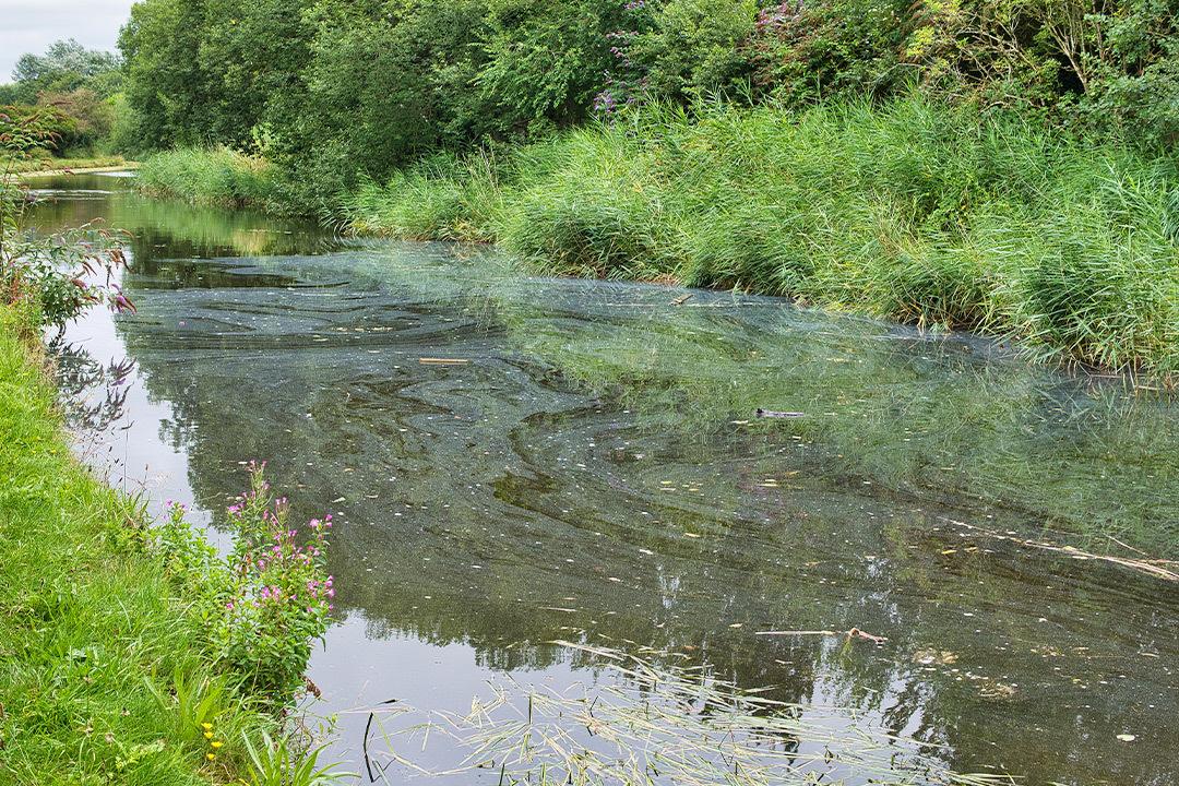 environmental liability